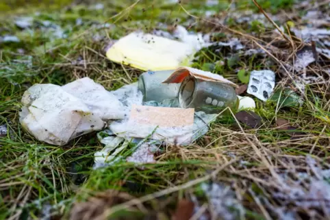 Stetes Ärgernis: im Wald verteilter Müll. 