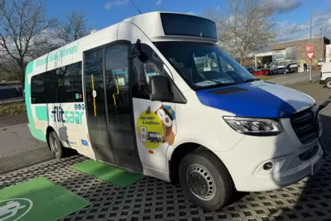 Die „Flitsaar“-Busse bieten 14 Sitz- und noch einmal elf Stehplätze. 