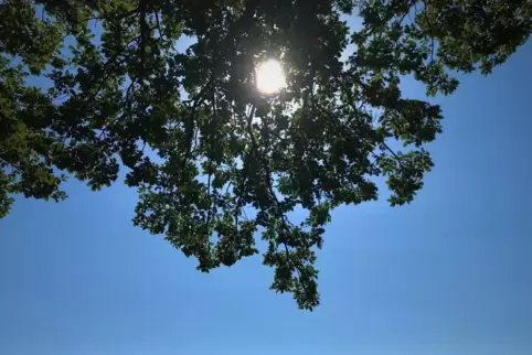 Am Donnerstag und Freitag scheint fast den ganzen Tag die Sonne, dazu gibt es frühlingshafte Temperaturen. 