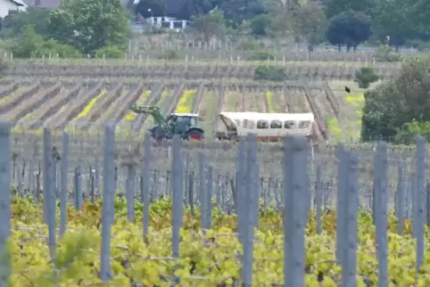 Planwagenfahrten durch die Weinberge werden auf Bad Dürkheimer Gemarkung neu geregelt. 