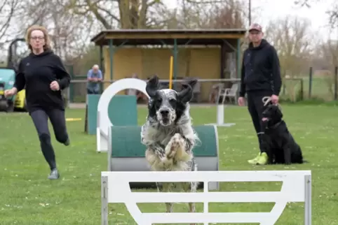 Hundesport im Fokus: Sigrid mit Hund Macho und Frank Claus mit Angus freuen sich auf das Hundesportturnier am Samstag. 