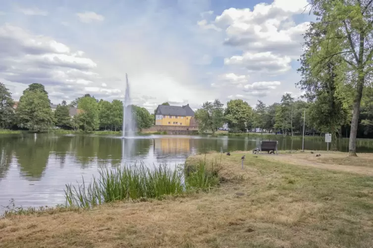 Blick auf die Gustavsburg am Jägersburger Weiher. 
