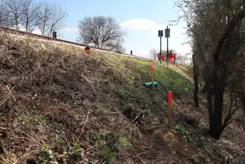 Die roten Markierungen weisen auf die Hohlräume am Bahndamm hin.