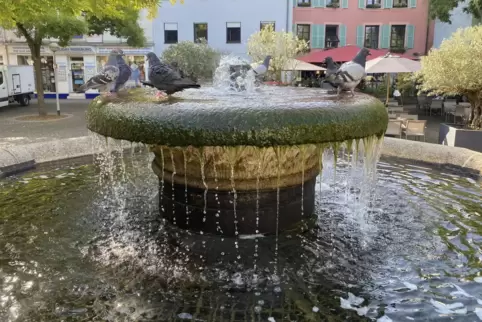 Der Brunnen auf dem Hallplatz steht seit 1913 und heißt König-Ludwig-Brunnen. Der Brunnen auf dem Hallplatz steht seit 1913 und heißt König-Ludwig-Brunnen.
