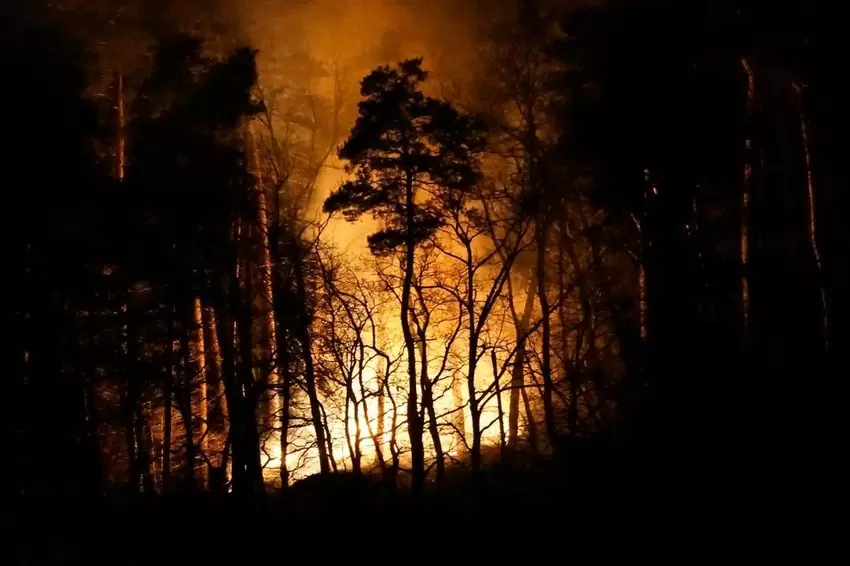 Die Flammen sind am Freitagabend weithin sichtbar. Ein Anwohner fotografiert den Waldbrand von seinem Balkon aus sicherer Entfer