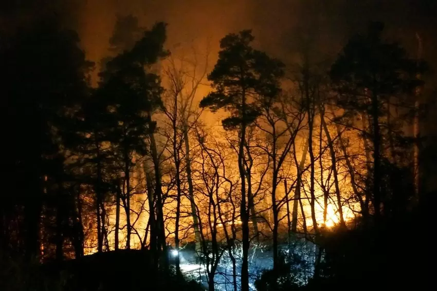 Die Flammen sind am Freitagabend weithin sichtbar. Ein Anwohner fotografiert den Waldbrand von seinem Balkon aus sicherer Entfer