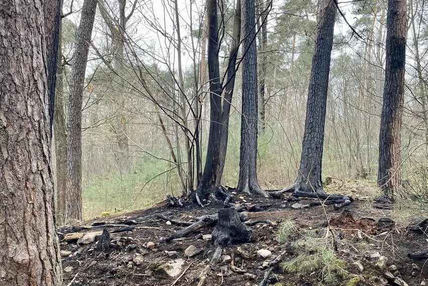Auf dem Boden liegen überall verkohlte Äste.