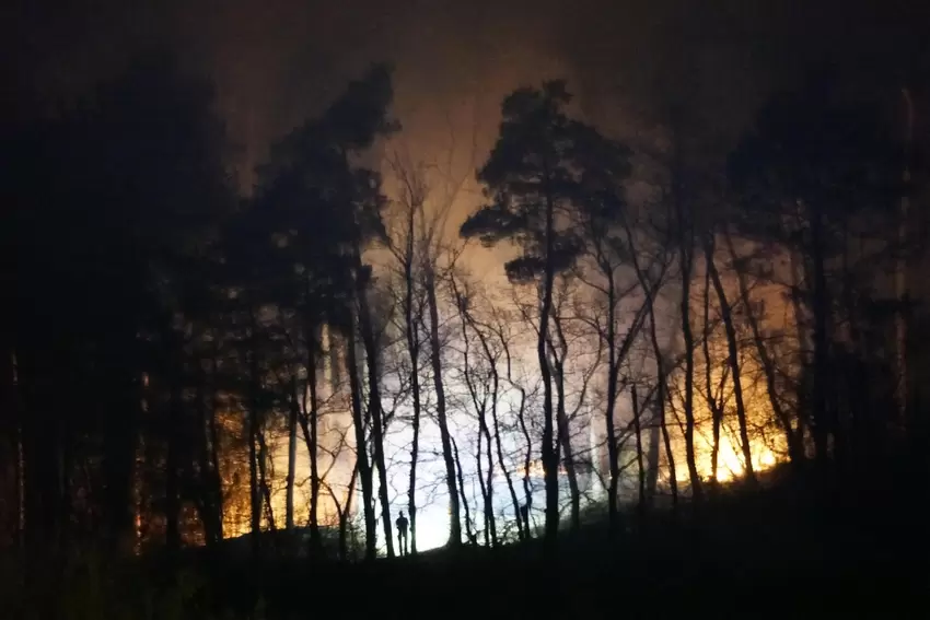 Die Flammen sind am Freitagabend weithin sichtbar. Ein Anwohner fotografiert den Waldbrand von seinem Balkon aus sicherer Entfer