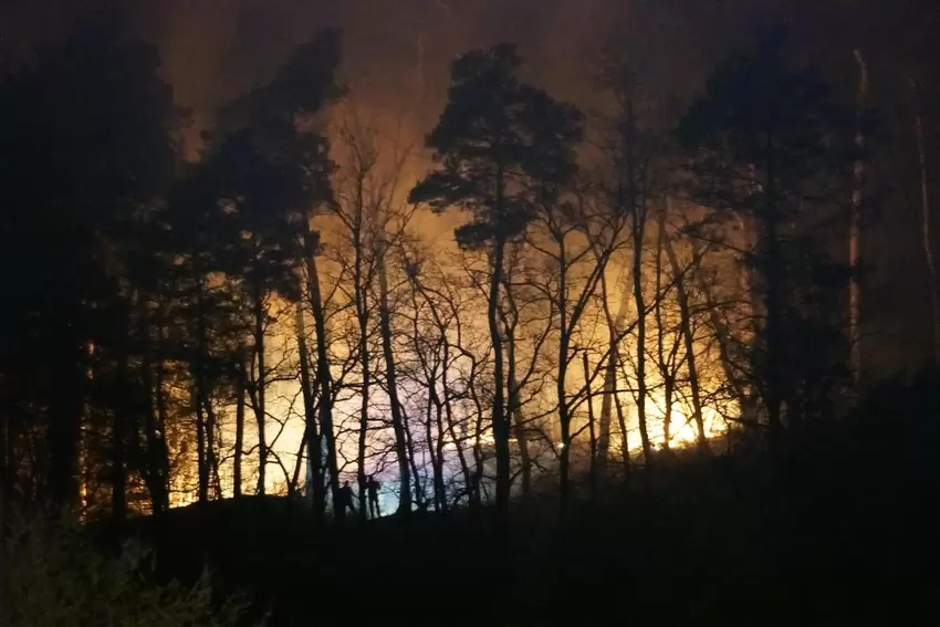 Die Flammen sind am Freitagabend weithin sichtbar. Ein Anwohner fotografiert den Waldbrand von seinem Balkon aus sicherer Entfer