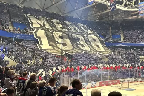 Prächtige Play-off-Stimmung in der SAP-Arena: Fan-Choreographie im Viertelfinale gegen München, die an die Gründung des Adler-Vo