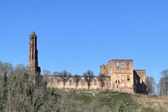 1000 Jahre ist die Klosterruine Limburg alt. Das historische Juwel ist ein schönes Ausflugsziel in den Osterfeiertagen. 1000 Jahre ist die Klosterruine Limburg alt. Das historische Juwel ist ein schönes Ausflugsziel in den Osterfeiertagen.