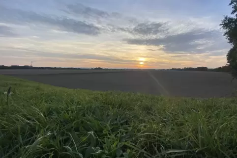 Auf diesem Areal Gelände nördlich der Kläranlage plant die BASF einen Solarpark.