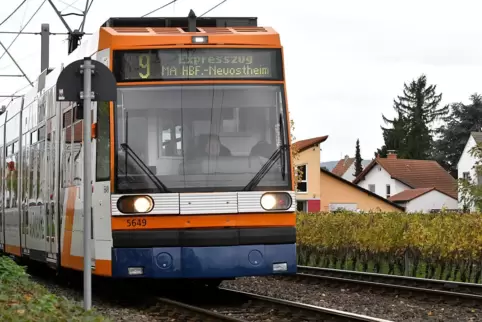 Zwischen Ellerstadt und Bad Dürkheim werden in den Ferien Gleise saniert. 