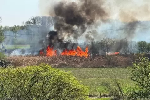 In Flammen: eine Fläche südlich von Mechtersheim. 