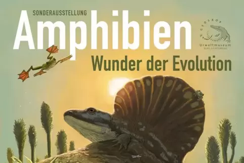 Die Sonderausstellung „Amphibien – Wunder der Evolution“ wird am Donnerstag im Urweltmuseum Geoskop eröffnet.