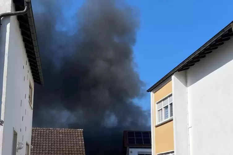 Rauchwolke &uuml;ber dem Hardtwald. 