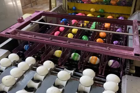 Aus Weiß wird Bunt: Ostereierfärbemaschine auf dem Adamshof in Kandel. 