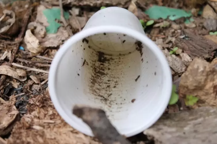 Kann mit Wasser gef&uuml;llt eine Brutst&auml;tte sein: ein in der Landschaft entsorgter Plastikbecher. 
