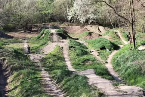 bmx