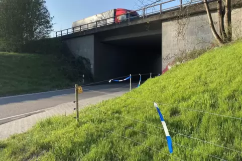 Neuer Zaun am Autobahndamm: Abschnitt im Bereich Binsfeld. 