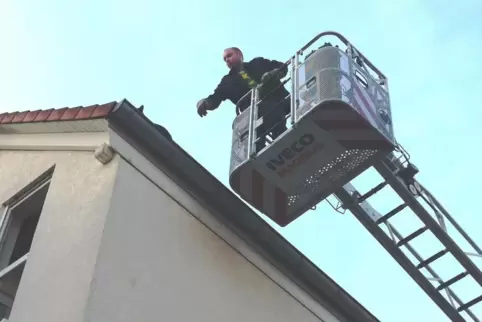 Ein Klassiker: Rettung einer Katze vom Dach, hier in Römerberg. 