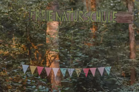 Die Freie Naturschule im Bienwald wächst. Sie wird von der Grundschule zur Realschule Plus. 