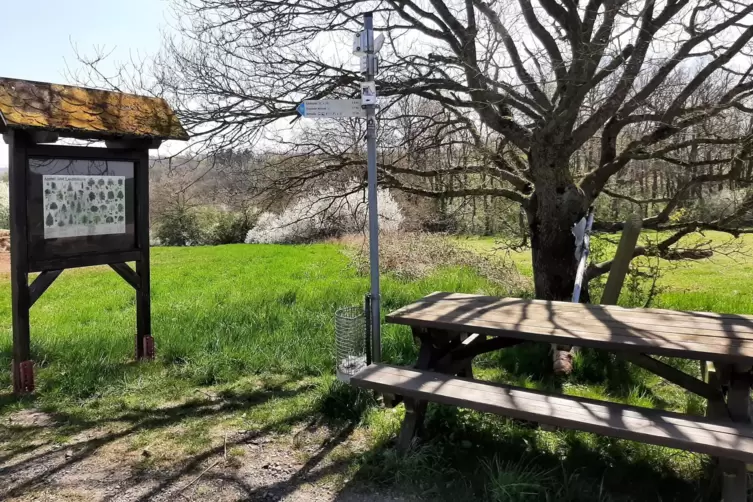 Einen Rastplatz mit sch&ouml;nem Ausblick gibt es auf den Anh&ouml;hen des K&uuml;hb&ouml;rncheshofs.