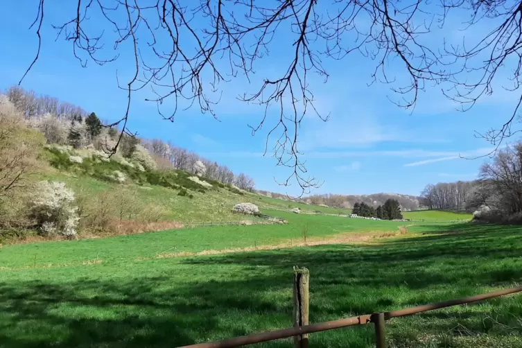 Blick ins Tal der Mooslauter. 