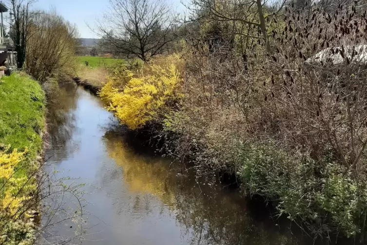 &Uuml;berall auf der Wanderung begegnet man Fl&uuml;sschen, wie hier der Lauter am s&uuml;dlichen Ortsrand Katzweilers. 