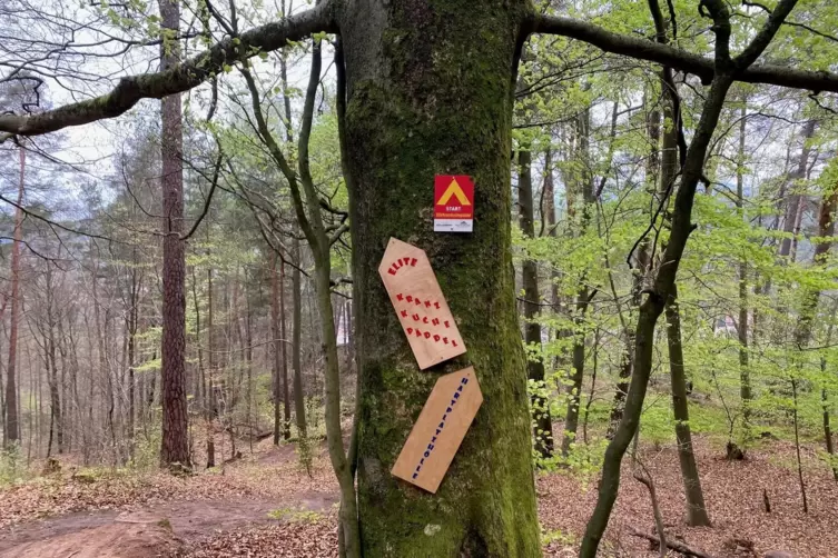 Hartplatzh&ouml;lle und Kranzkuche-P&auml;ddel hei&szlig;en zwei der drei Trails, die sich am neuen Rastplatz gabeln.