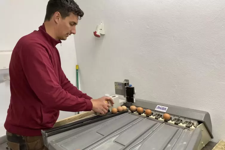 Georg Schmitt zeigt, wie die Eier-Sortiermaschine funktioniert. Es gibt die Kategorien S, M, L und XL.