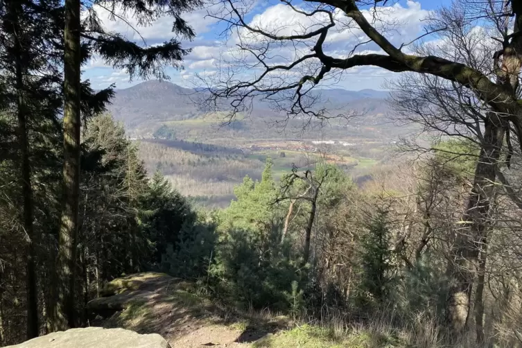 Mit Blick auf den Pf&auml;lzerwald konnte man die Verschnaufpausen genie&szlig;en. 