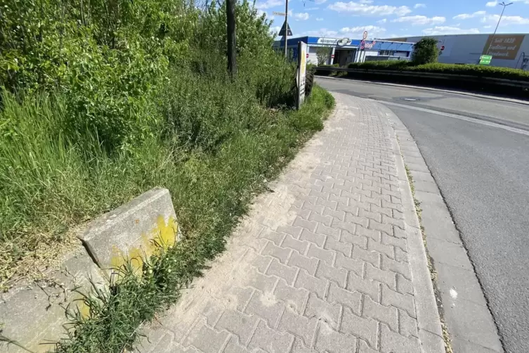 Auf dem Pflaster an der Einm&uuml;ndung S&uuml;dring/Fuchsl&ouml;cher kann man gut erkennen, dass hier Ameisen aktiv sind. Auf dem gr&uuml;nen H&uuml;gel