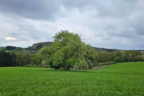 Einige Wolken hängen über uns, aber die Temperaturen bleiben im frühlingshaften Bereich. 