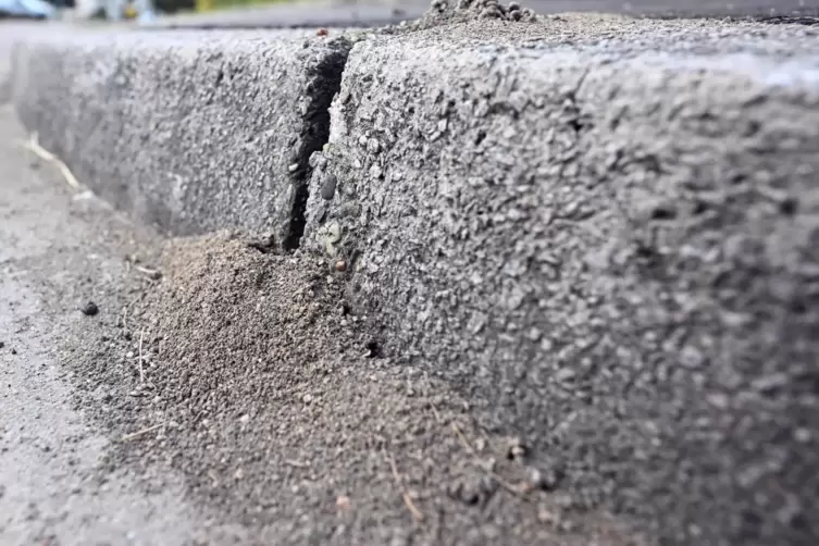 Die Tiere eines Nestes k&ouml;nnen innerhalb weniger Jahre tonnenweise Sand bewegen. 