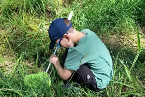 Bei der Spiele-Freizeit im Kirschtal (Bild) sind die Kinder viel in der Natur unterwegs.