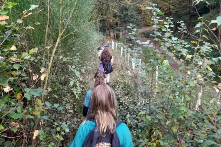 Unterwegs im Kirschtal: In den Herbstferien f&auml;hrt Iris Buchenau mit einer Gruppe dorthin zur Spiele-Freizeit. 