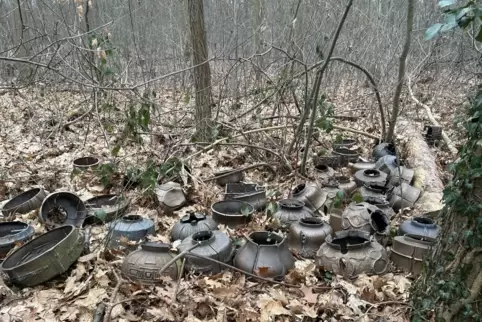 Eine Diebstahlserie auf Friedhöfen sorgte 2024 für Aufsehen – wie hier auf dem Waldfriedhof in Schifferstadt. Abgesehen haben es