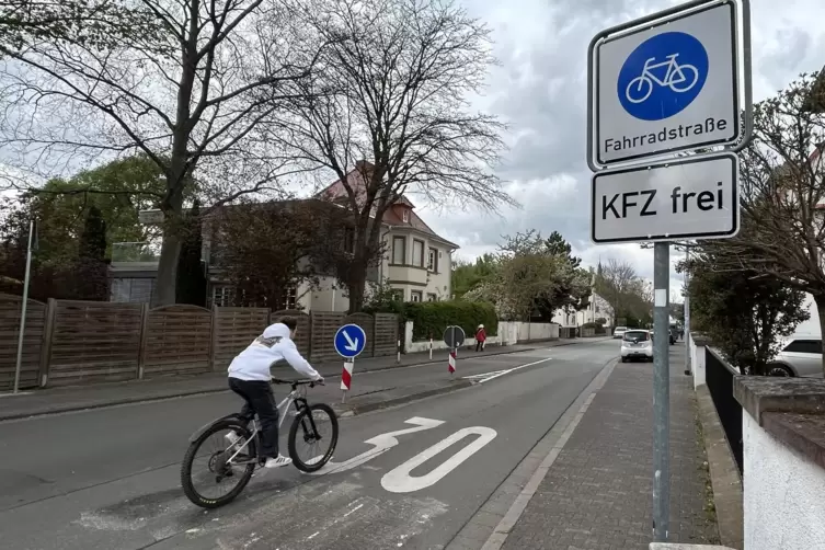 Mehrere Schilder an den Einm&uuml;ndungen machen auf die Fahrradstra&szlig;e aufmerksam. 