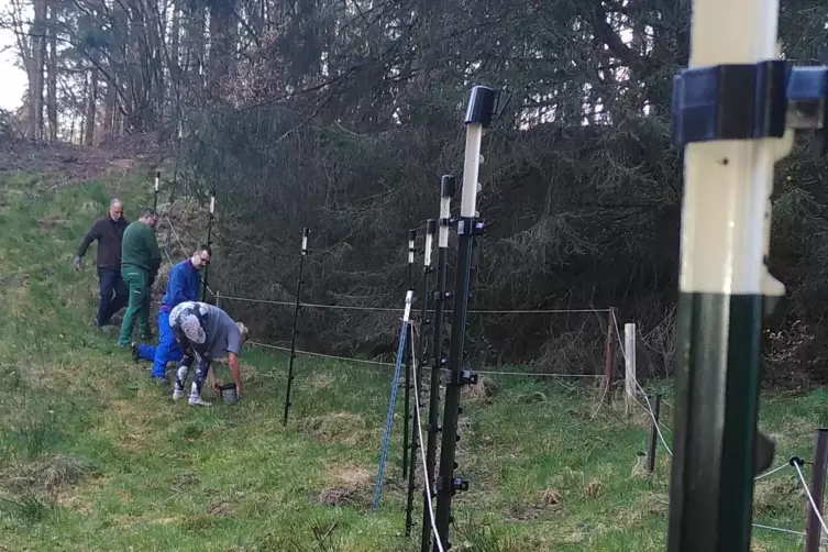 Viele Helfer unterst&uuml;tzten Tierhalter Marc Jankowitsch. 