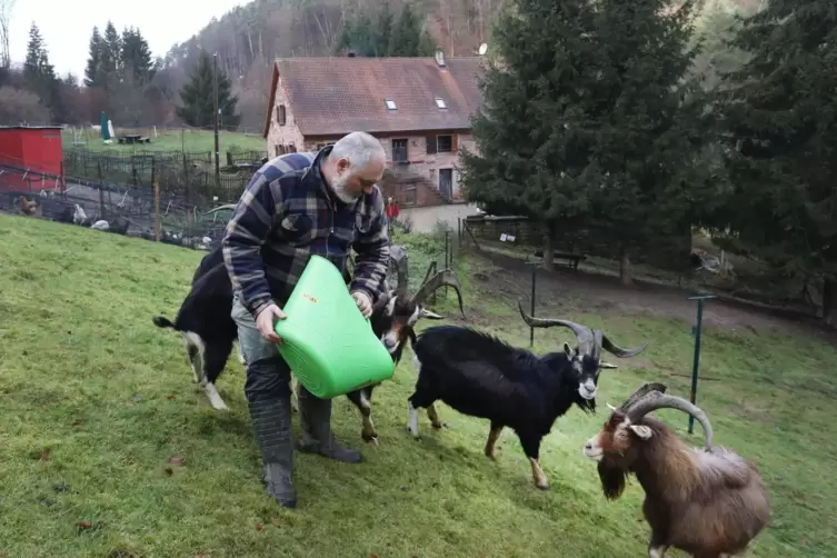 Marc Jankowitsch z&uuml;chtet alte und bedrohte Haustierrassen.