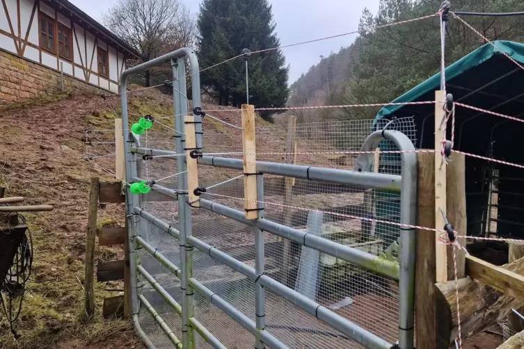 Der neue Elektrozaun bietet Schutz. 