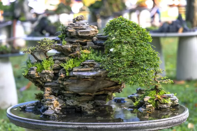 Beim Penjing werden Bonsai in Miniaturlandschaften integriert. 