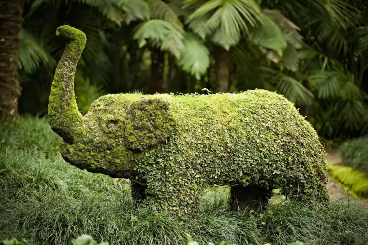 Ein Elefant als Formschnitt-Geh&ouml;lz. 