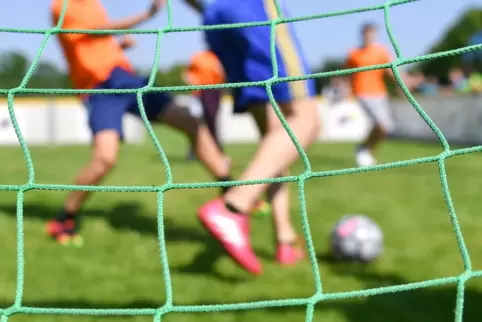 Sattgrün: So intakt präsentiert sich längst nicht mehr jeder der zwölf Frankenthaler Sportplätze. 