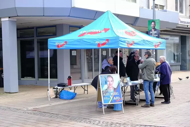Die AfD im Zweibrücker Stadtrat gilt als sehr gemäßigt. Das Foto zeigt die AfD beim Bundestagswahlkampf im Februar in der Fußgän