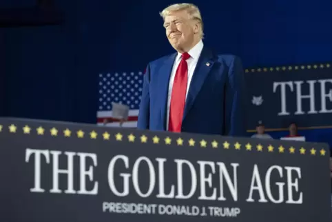 Die Überlegungen hinter Trumps Zollpolitik seien „komplett wahnhaft“, sagt ein renommierter US-Ökonom. 