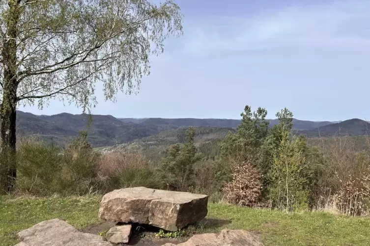 Tolle Aussicht: der Hirzeckgipfel, nahe vom Hirzeckhaus im Pf&auml;lzerwald gelegen. 