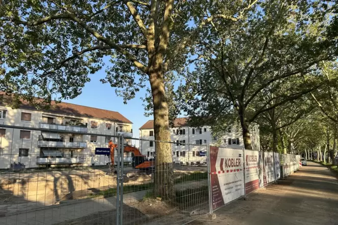 Der Blick aufs Grün wird den Bewohnern der bestehenden Häuser vermutlich künftig versperrt sein. Der Blick aufs Grün wird den Bewohnern der bestehenden Häuser vermutlich künftig versperrt sein.