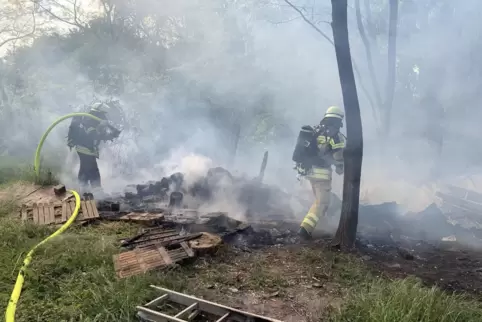 Weißer Rauch bei Speyer: Die Feuerwehr löscht einen Holzstapel auf einem Wiesengrundstück.